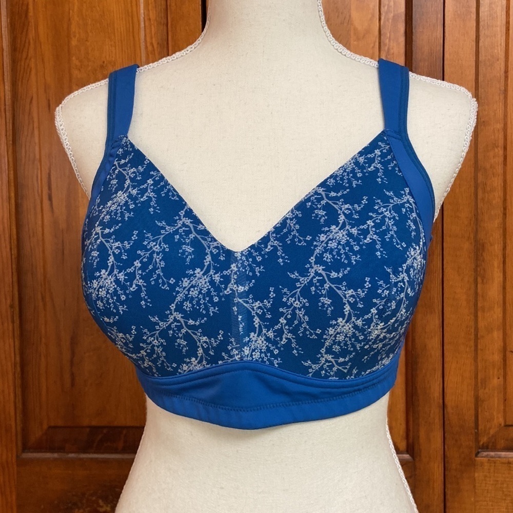 Rhonda Shear Bra EUC Medium